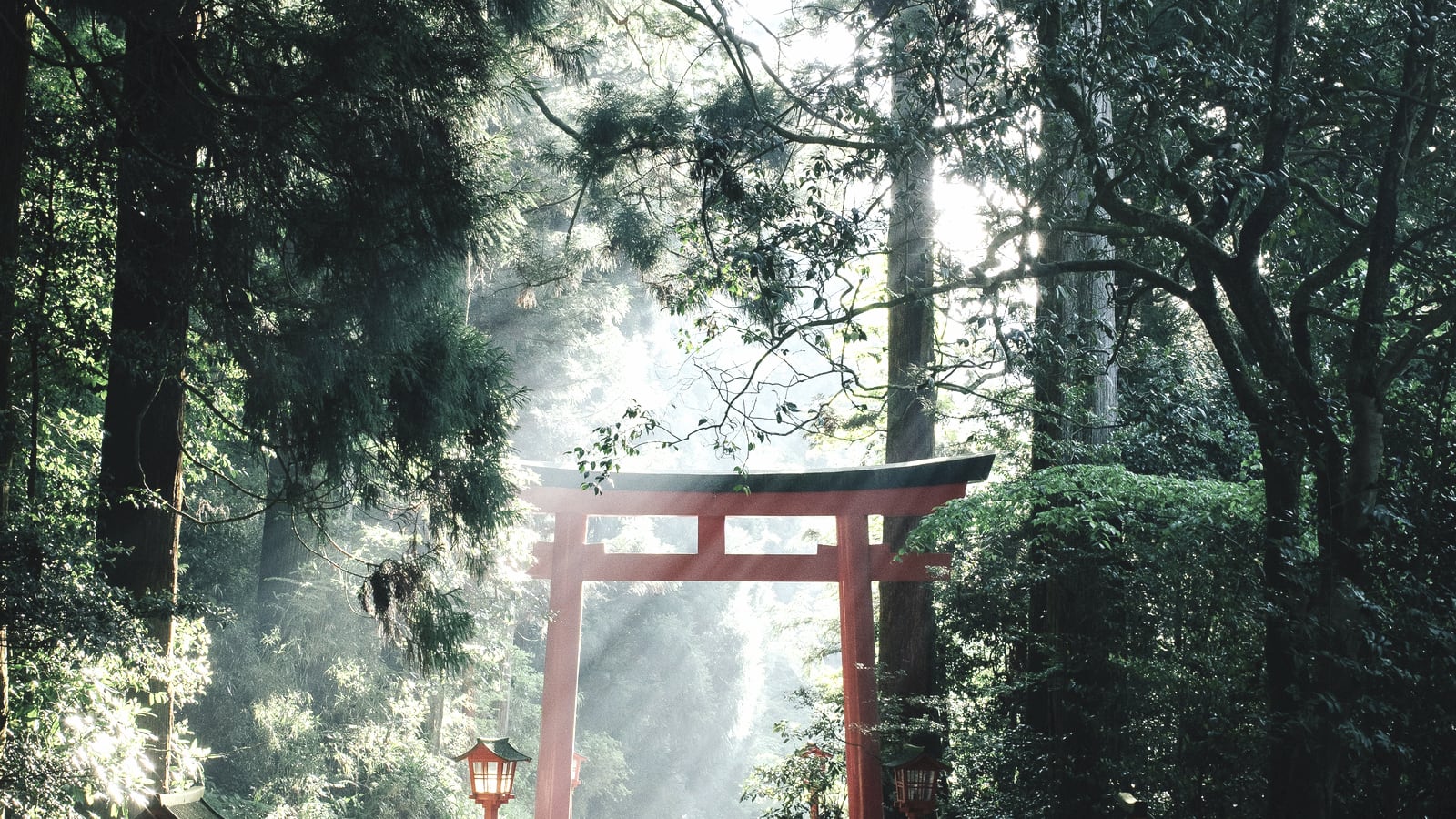 A misty forest shrine approach with a red torii gate