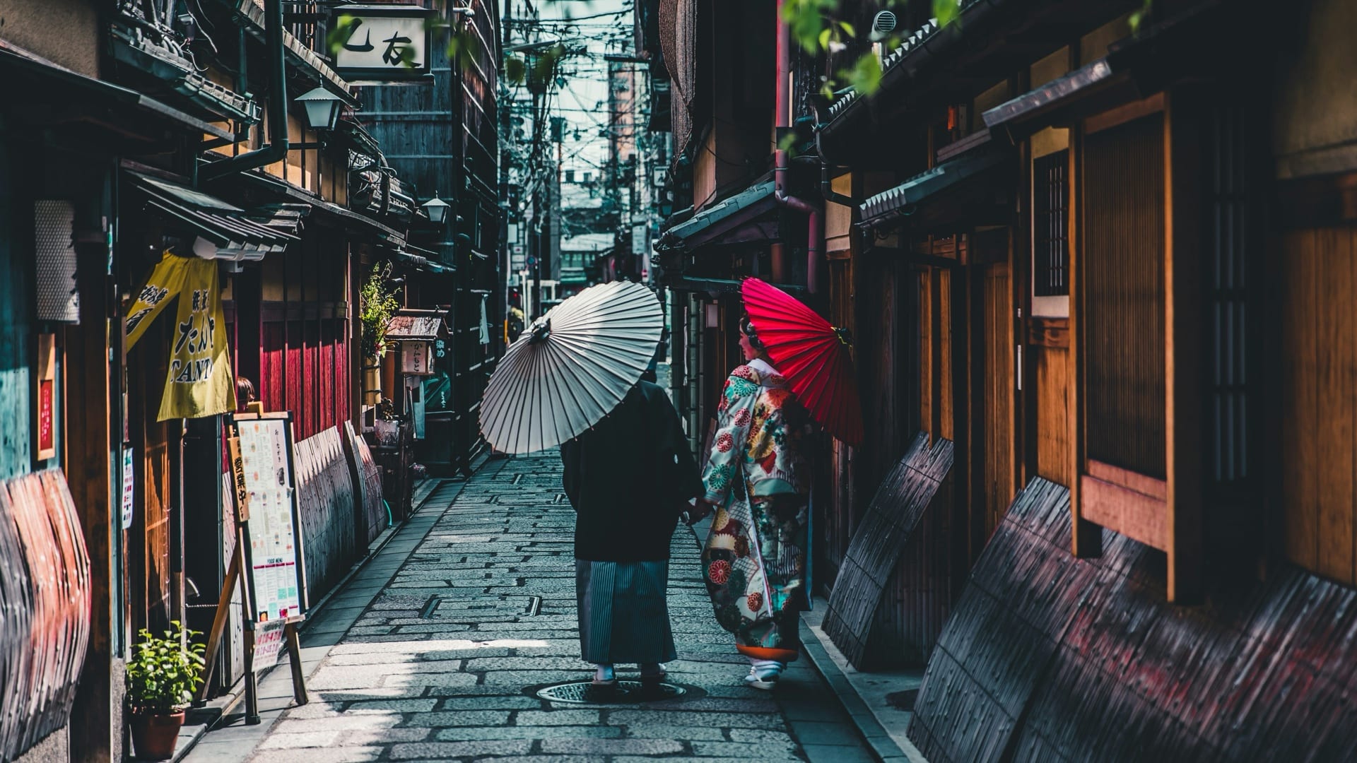 A quiet residential street in Japan under soft daylight