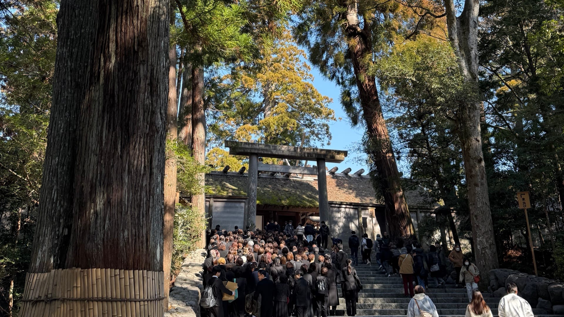 A shrine torii gate partly hidden by green leaves