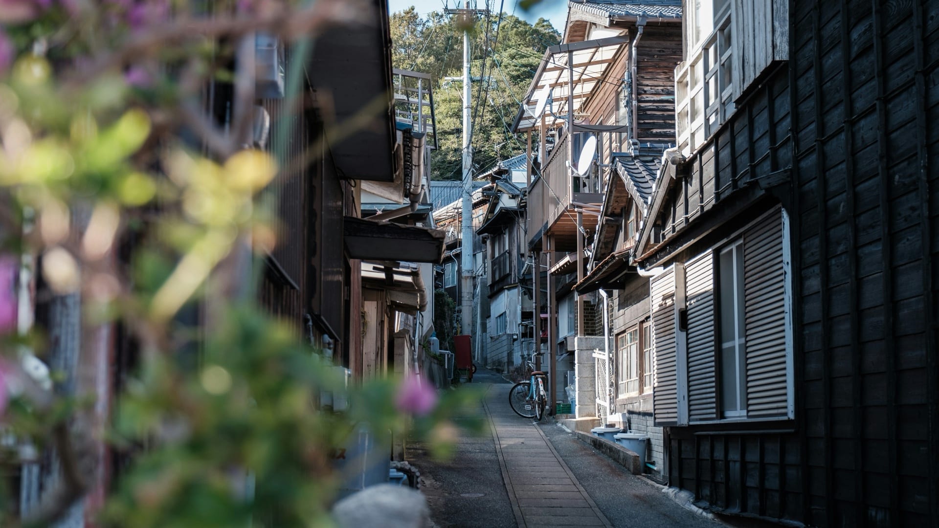 A quiet mountain town below Mount Fuji and a red torii gate