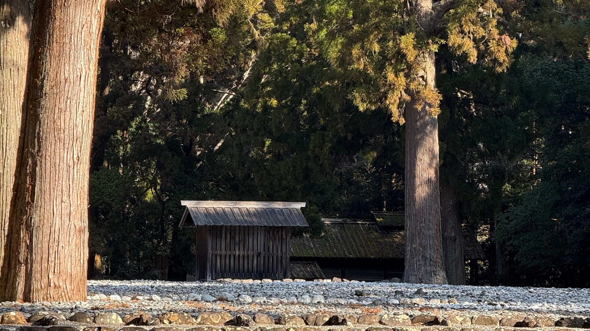 Sunlight filtering through trees around a small forest shrine gate